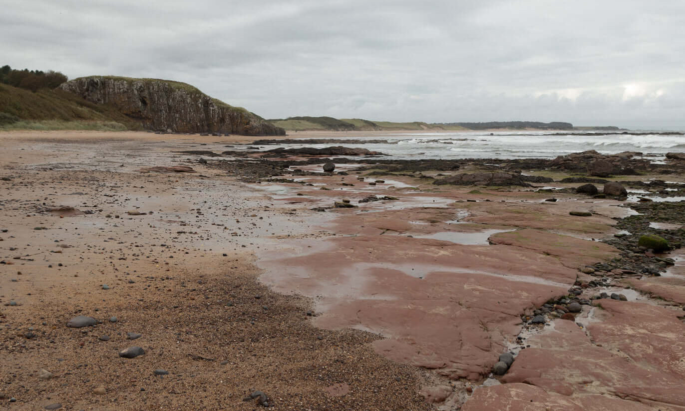 Sustainability, Scotland editorial