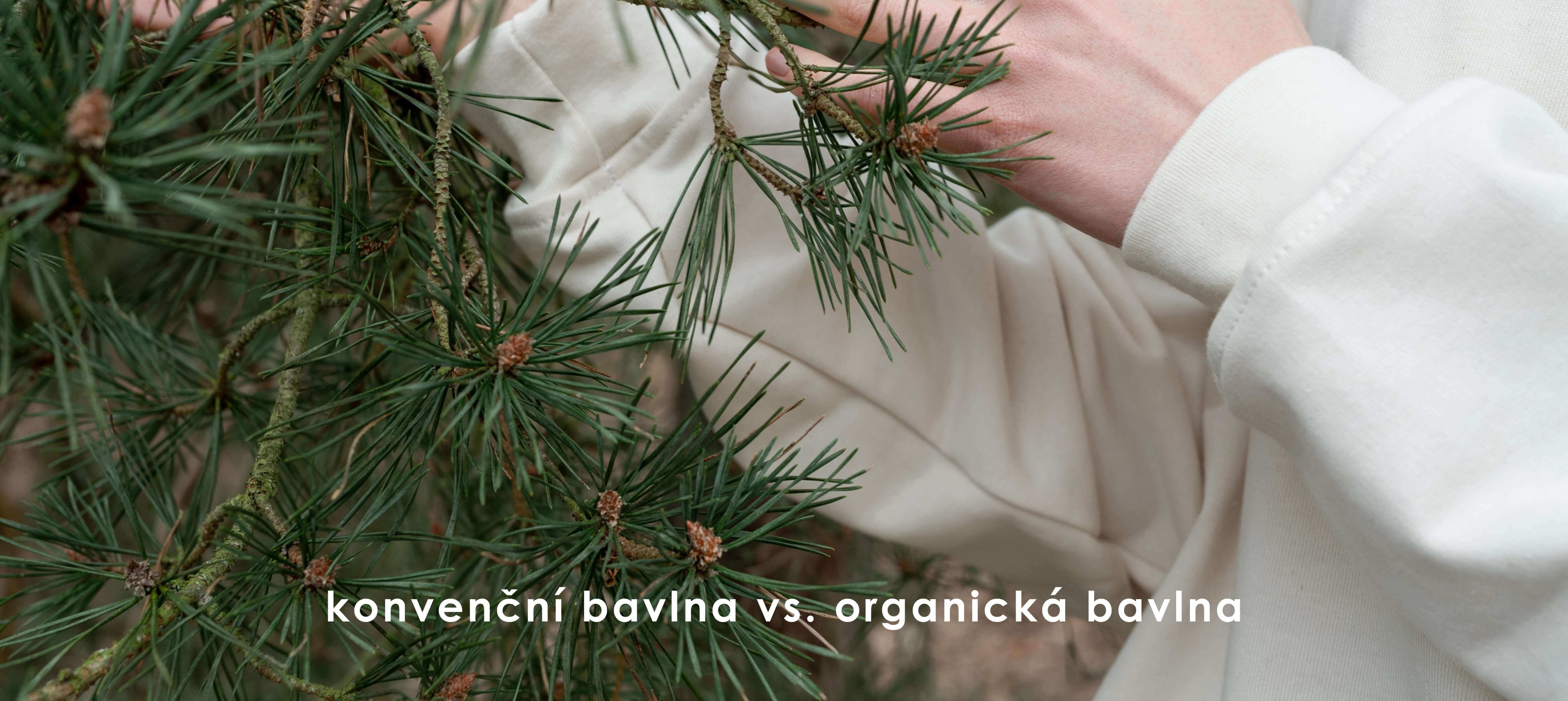 rozdil mezi konveční a organickou bavlnou, detail mikiny z organické bavlny v přírodě